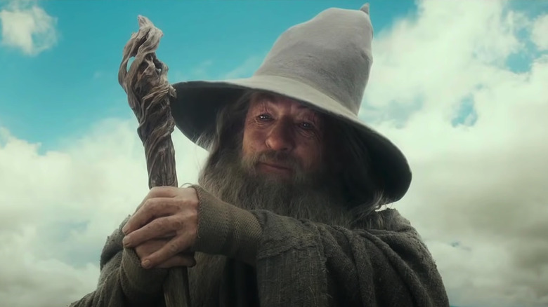 A close up of Gandalf the Grey